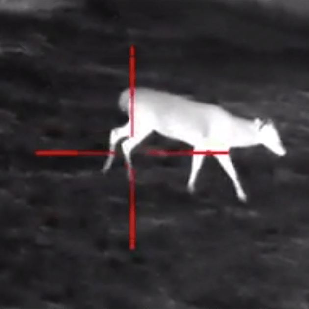 Infrared Night Vision Scope 4.5X with Low Light CMOS