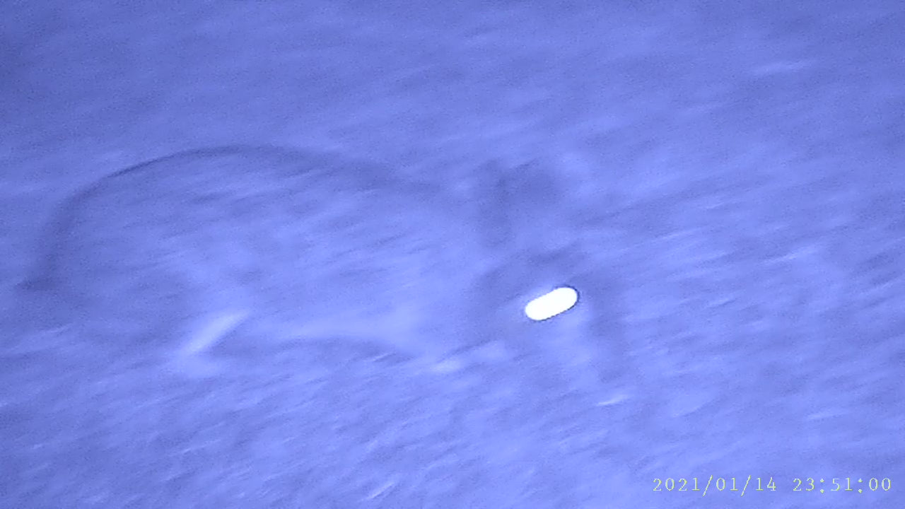 NVx7 Digital Night Sight